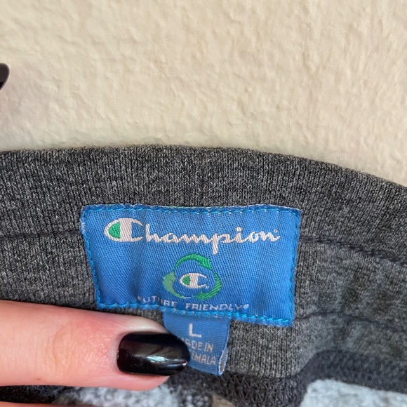 University of Michigan Champion Gray Sweatpants - Picture 8 of 10